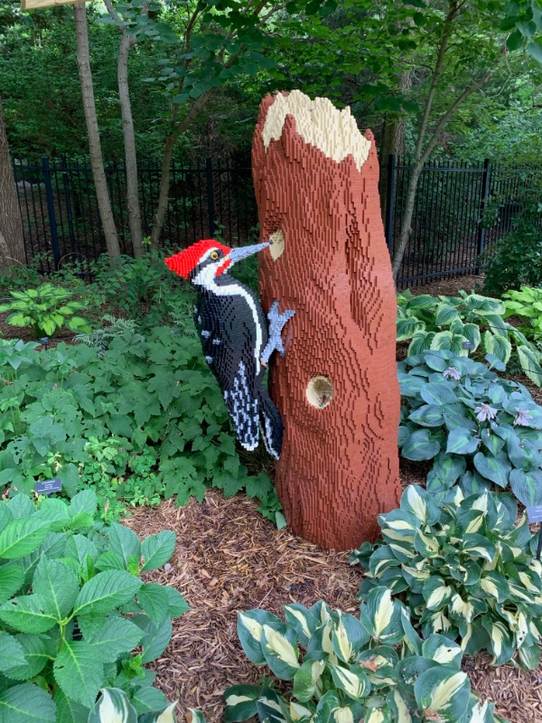 Botanica hosted a special exhibit during summer 2019, 