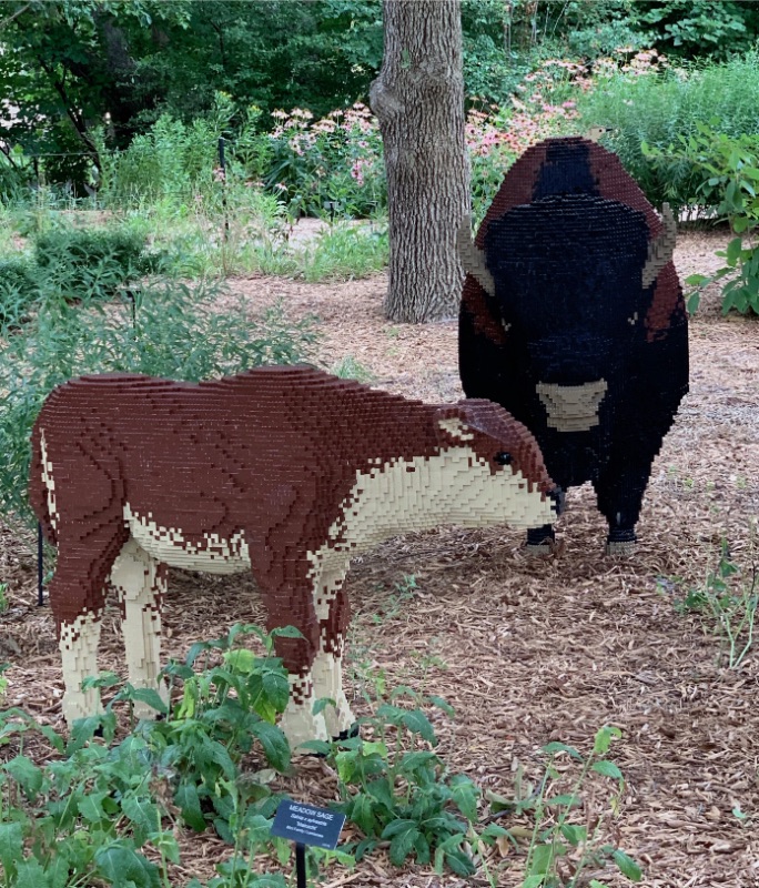 Botanica hosted a special exhibit during summer 2019, 